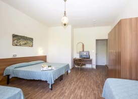 NEW PARK HOTEL 4