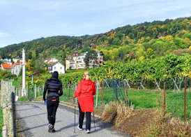 Schild Rooms - Self Check-in - Nature and Wine Area 4
