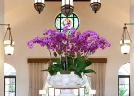 The Alfond Inn 2