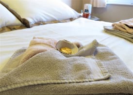 The Haldon Guest House 5