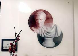 Ai Senatori 3
