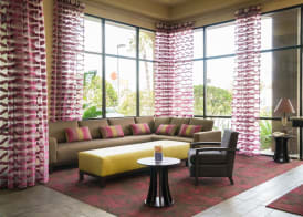 Orlando Palms 5