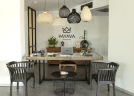 Payava Hotel by True Blue 3