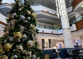 San Antonio Marriott Rivercenter on the River Walk 2