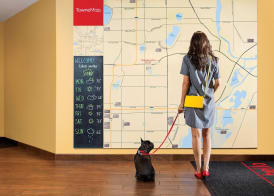 TownePlace Suites by Marriott Raleigh - University Area 2