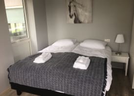 Reykjadalur Guesthouse 2