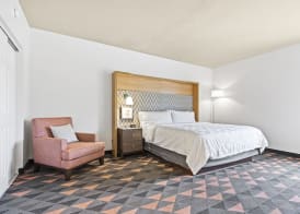 Holiday Inn ST. PETERSBURG WEST by IHG 3