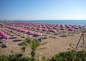 Camping Village Pino Mare 4