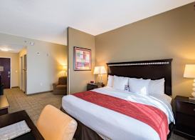 Comfort Inn & Suites Maingate South 5