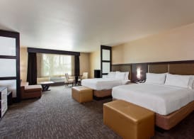 Holiday Inn Express & Suites ANAHEIM RESORT AREA by IHG 4