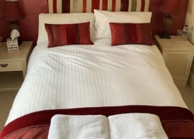 The Carew Arms 3