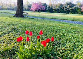 Endsleigh Park Hotel 5