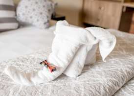 61 On Ireland Guest House 2