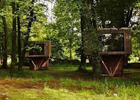 L'étape en forêt 4