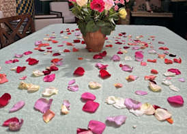 Riad Atrium & Spa 3