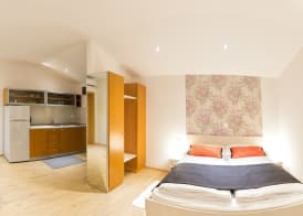 Apartments SHISHKA 3