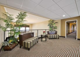Best Western Plus Cutting Horse Inn & Suites 3