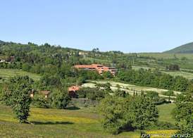 Demidoff Country Resort 2