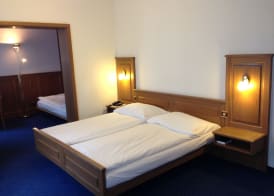 Hotel Alpina Luzern 4