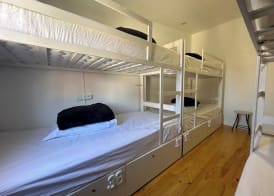 Owls Hostel Ribeiro 5