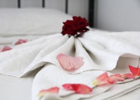 Fatih Apart Hotel 5