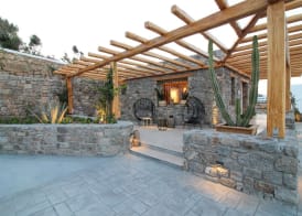 Mykonos Cactus 2