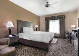 Best Western Carthage Inn & Suites 4