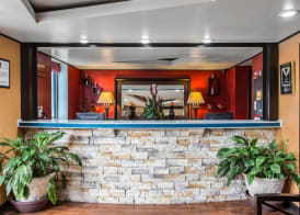 Quality Inn Goose Creek - Charleston 5