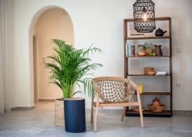 Melidron Hotel Suites Villas 3