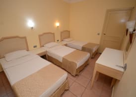 alenz suite 4