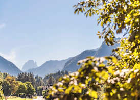 Hotel Weisses Rössl - Cavallino Bianco 5