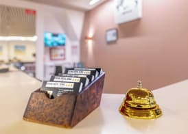 Grand Hotel Sénia - Paris Orly Airport 2