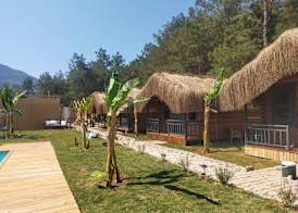 Pine Village Bungalows Ölüdeniz 2
