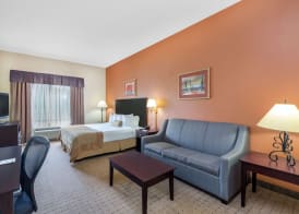 Wingate by Wyndham West Monroe 4