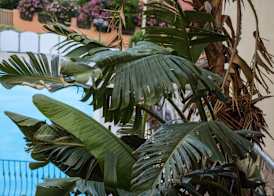 Hotel Solanas 4