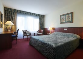 Hotel-Restaurant Ruyghe Venne 3