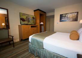 Best Western Queens Gold Coast 5