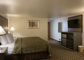 Motel In The Pines 5