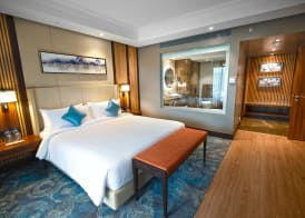 Radisson Blu Resort Dharamshala 3