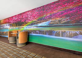Quality Inn Mesquite - Dallas East 4