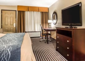 Comfort Inn & Suites Ballpark Area 5
