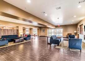 Comfort Suites Grand Prairie - Arlington North 3