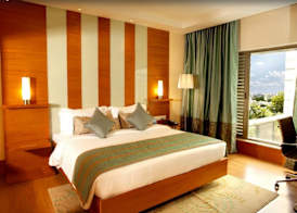 Radisson Blu Hotel Chennai City Centre 3