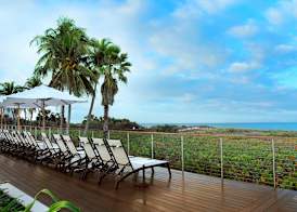 Hilton Marco Island Beach Resort and Spa 4
