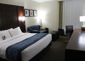 Comfort Inn & Suites Near Six Flags & Medical Center 5