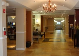 Holiday Inn Express WEST PALM BEACH METROCENTRE by IHG 2