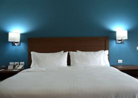 Holiday Inn GUADALAJARA EXPO by IHG 3