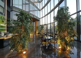 Amman Rotana 4