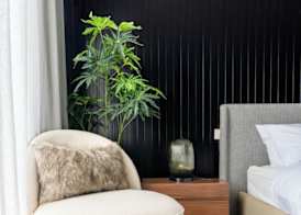 Easy Rental 5