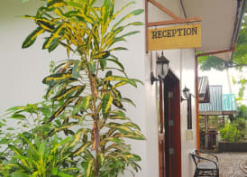 Golden Monkey Beach Hotel 4